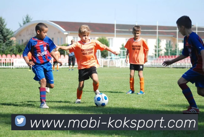 KOK体育APP 体育赛事宣传图